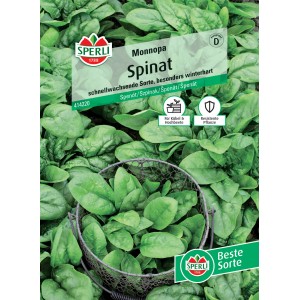 Sperli Saatgut Spinat Monnopa