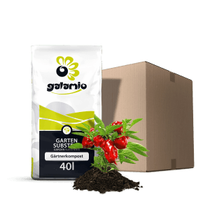 Galamio Gärtnerkompost 40l Sack mit Pflanze und Karton im Hintergrund.