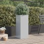 Hoher, silberner Pflanzkübel aus verzinktem Stahl mit Pflanze auf Holzterrasse. Ideal für Garten und Balkon.