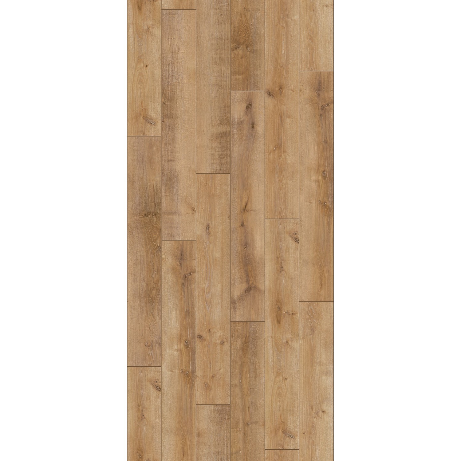 Parador Laminat Classic 1050, 8mm, wasserfest, Eiche Montery Dekor.