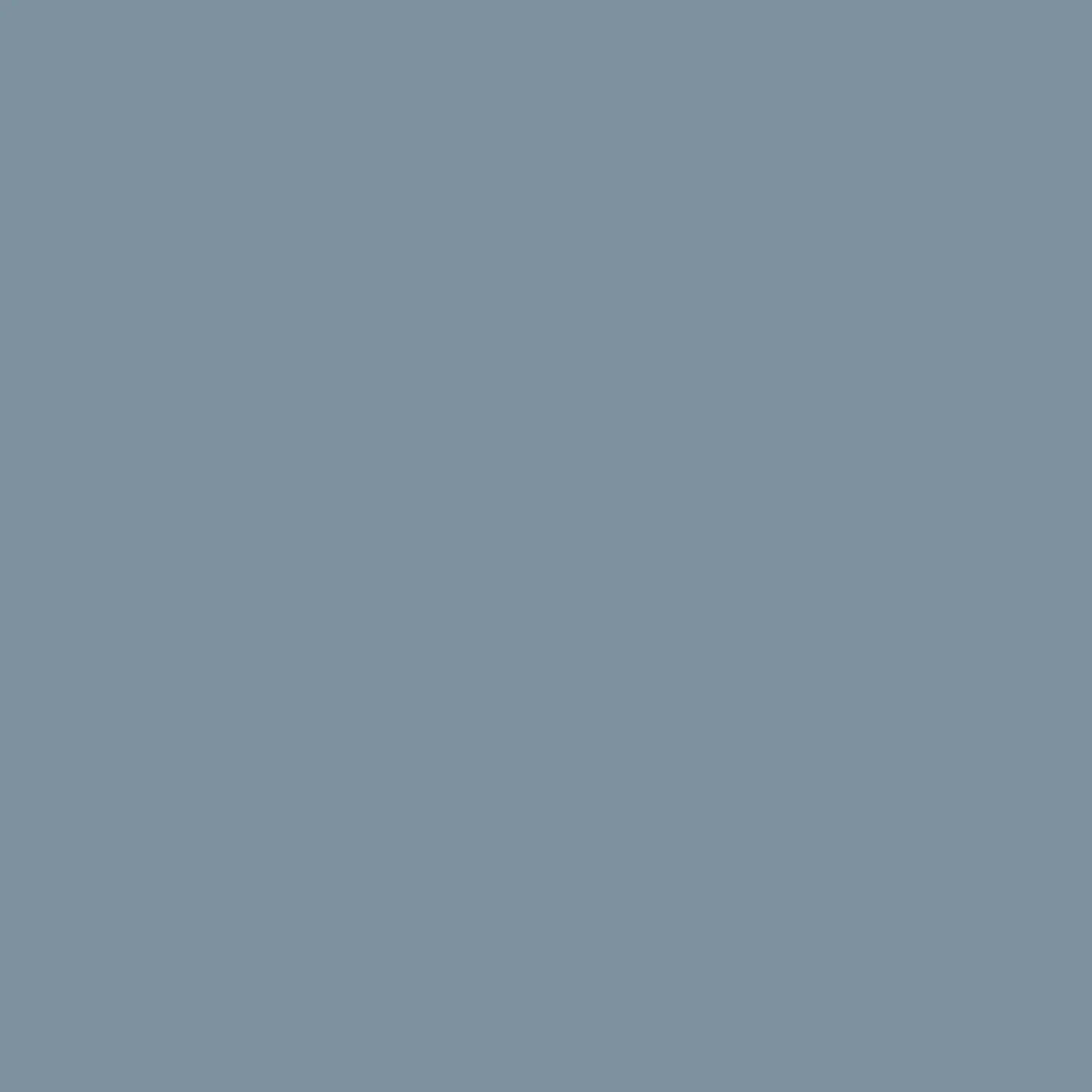 Alpina Feine Farben No. 14 Ruhe des Nordens®, grau-blaue Wandfarbe, edelmatt.