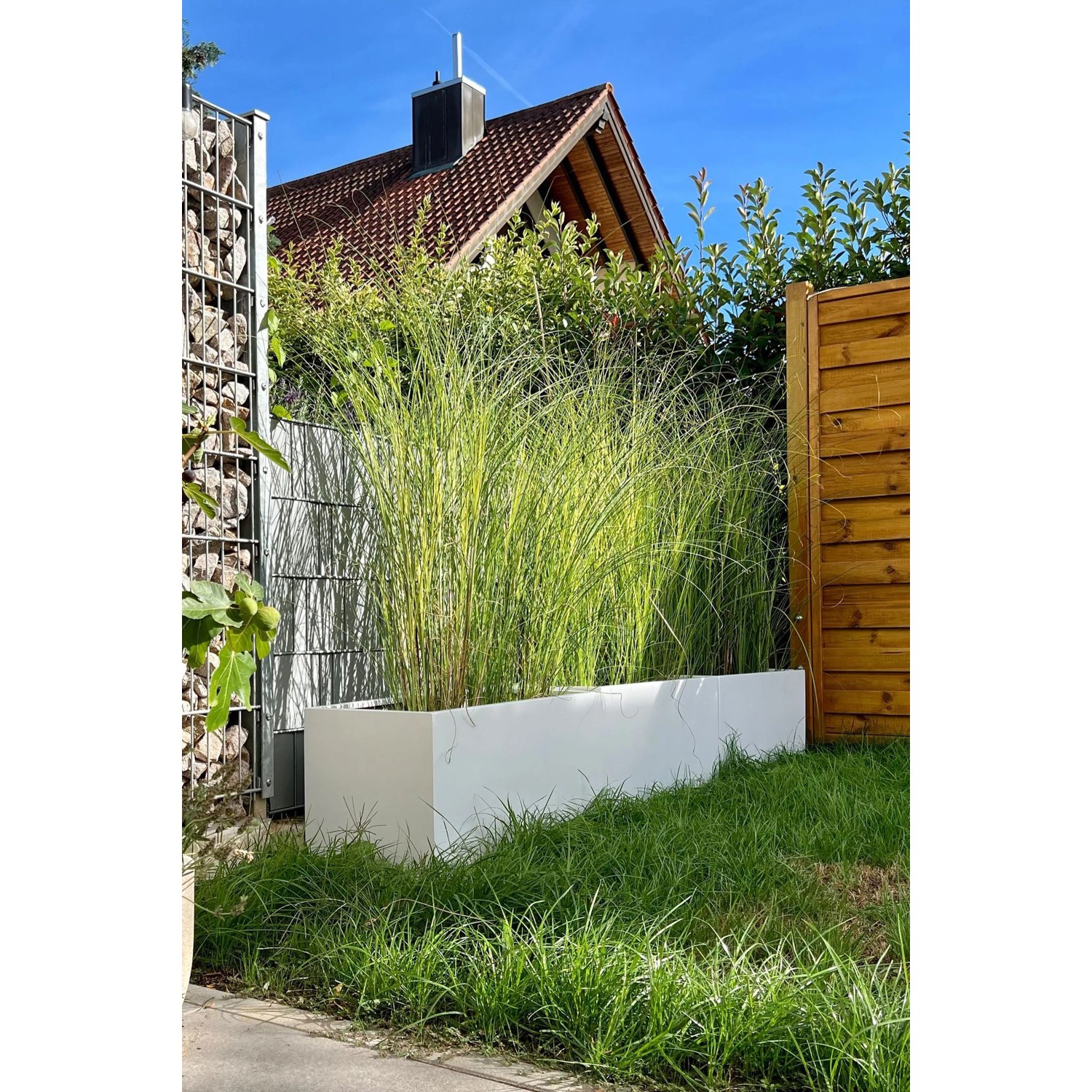 Weißer Vivanno Pflanzkübel Maxi (80x40x40 cm) mit Bepflanzung im Garten.