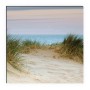 MySpotti Küchenrückwand mit Dünenpanorama: Sanddüne, Meer und Strandhafer für die Küche.