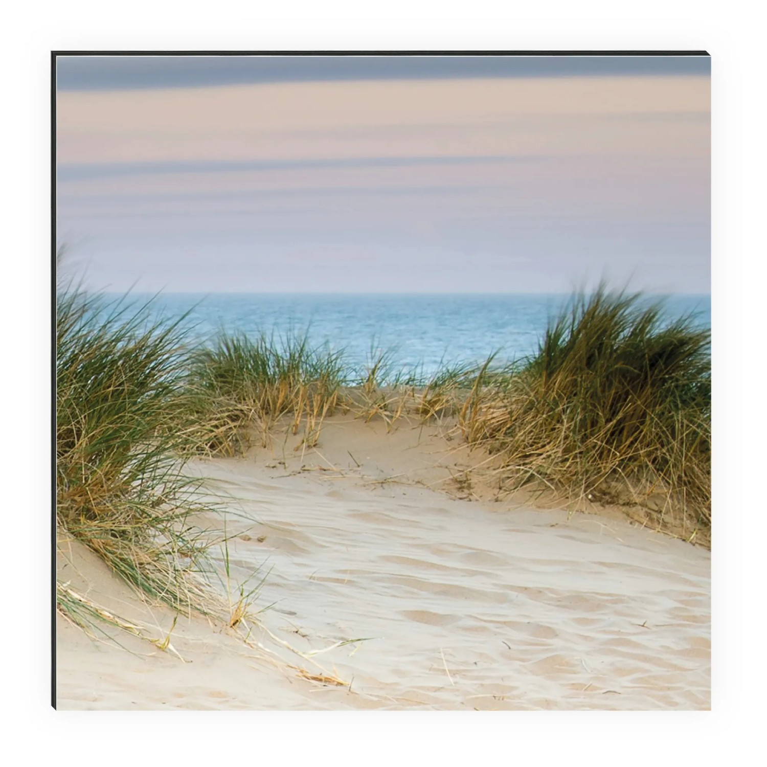 MySpotti Küchenrückwand mit Dünenpanorama: Sanddüne, Meer und Strandhafer für die Küche.