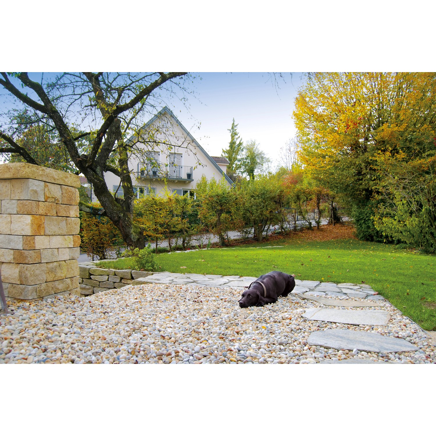 MGS SHOP Flusskies Bunt 25kg - Quarzkiesel 8-16mm Für Beete & Wege