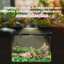 PawHut Terrarium mit Thermometer, 50x30x35cm, geeignet für Reptilien, mit Lampe zur Erwärmung.