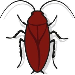 Grafik einer Kakerlake, Schädling zur Illustration von Ungezieferbekämpfung mit Nexa Lotte Spray.