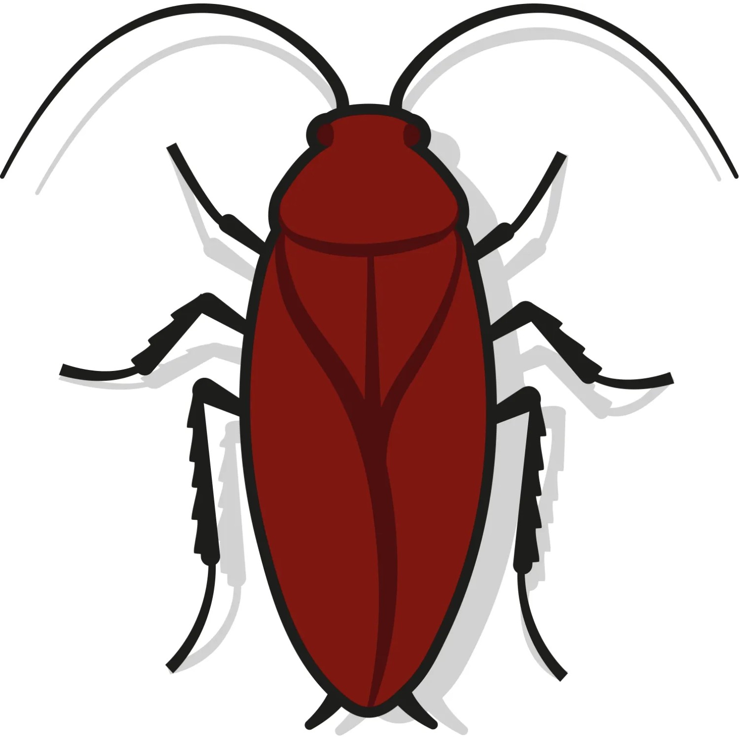 Grafik einer Kakerlake, Schädling zur Illustration von Ungezieferbekämpfung mit Nexa Lotte Spray.
