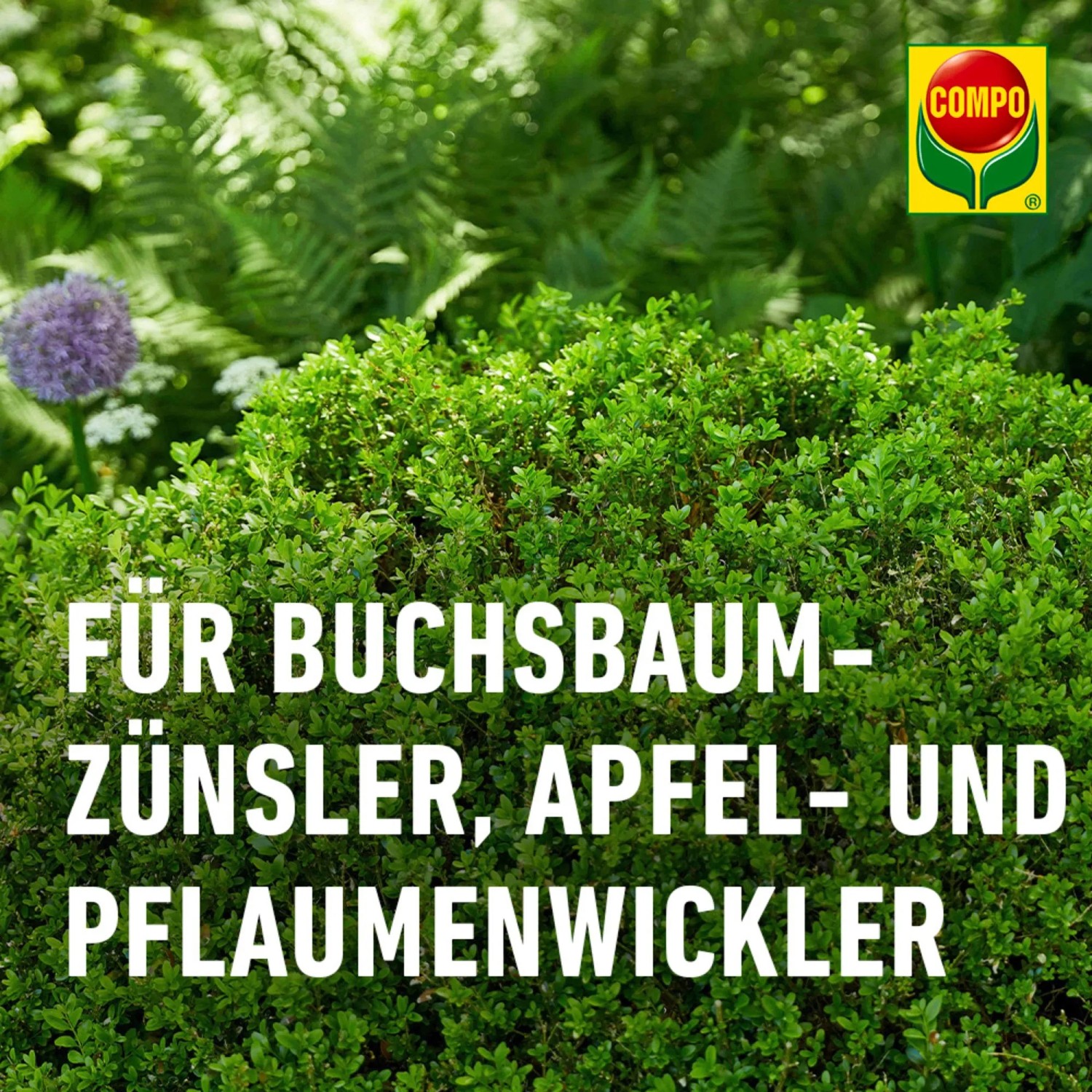 Compo BIO Universal-Trichterfalle gegen Buchsbaumzünsler, Apfel- und Pflaumenwickler.