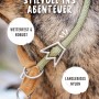 Grünes Rudelkönig Zugstopphalsband aus Nylon am Hundehals, Größe 5.