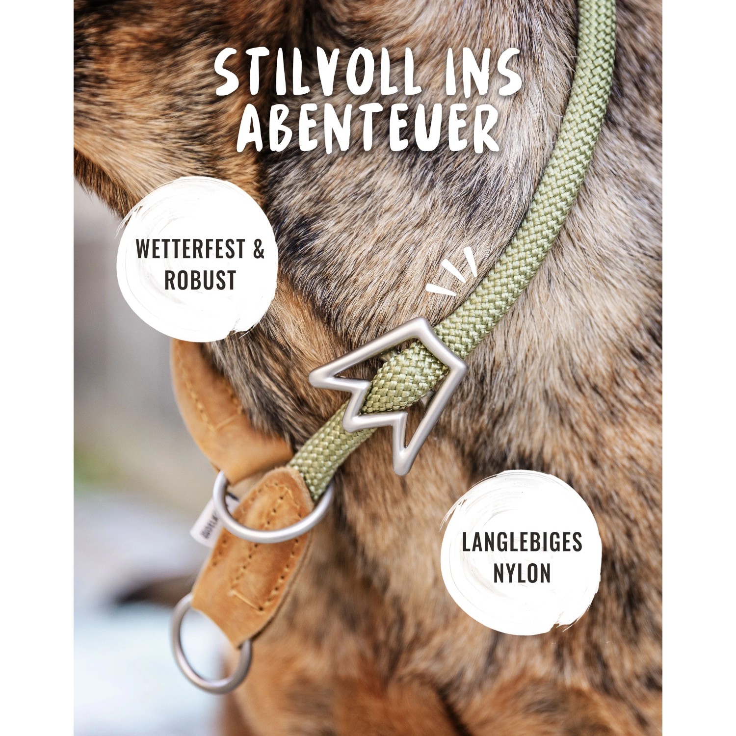 Grünes Rudelkönig Zugstopphalsband aus Nylon am Hundehals, Größe 5.