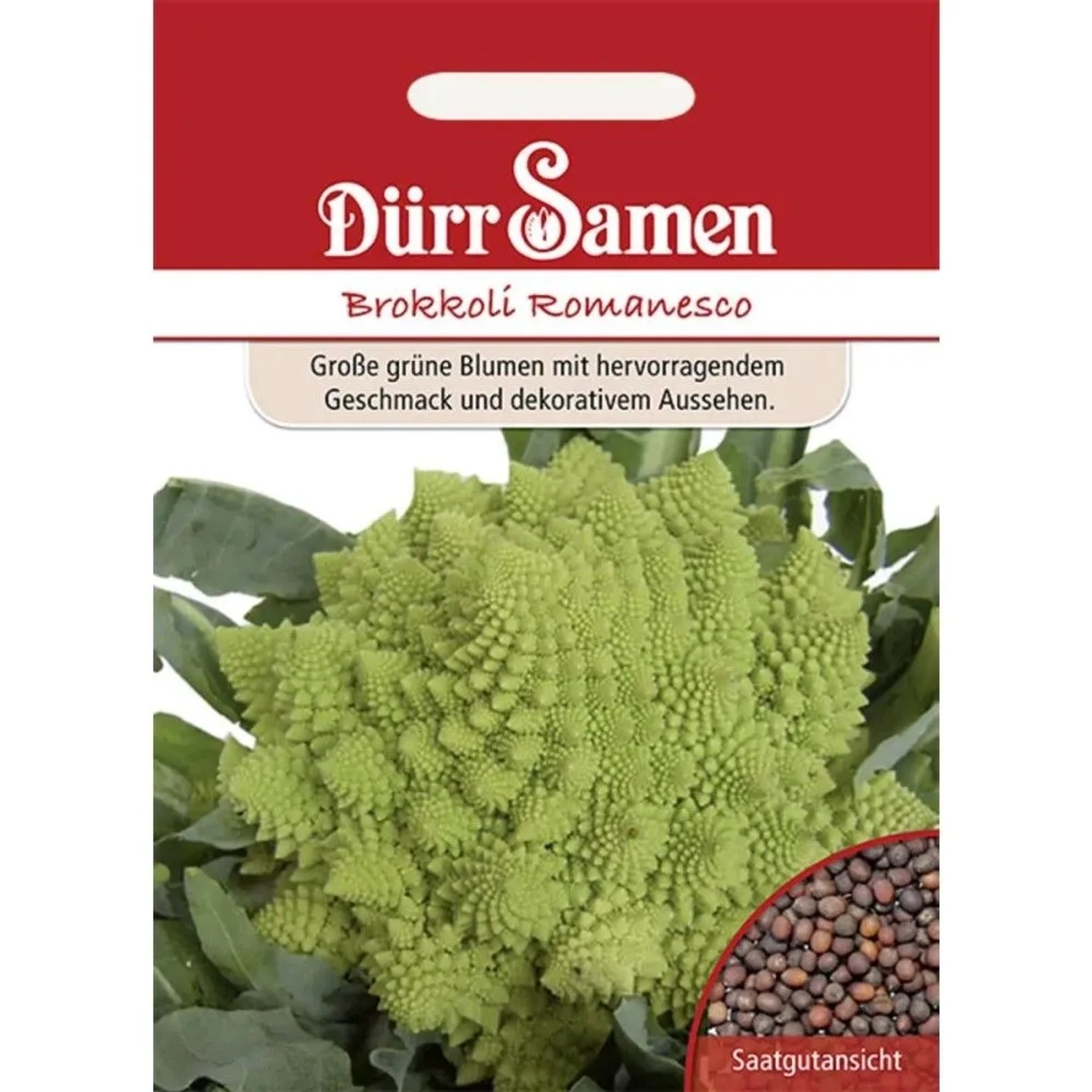 Dürr Samen Brokkoli Romanesco Saatgut