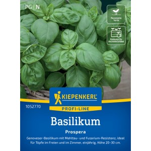 Kiepenkerl Basilikum Prospera F1-Hybride, resistent gegen Krankheiten, aromatische Blätter.
