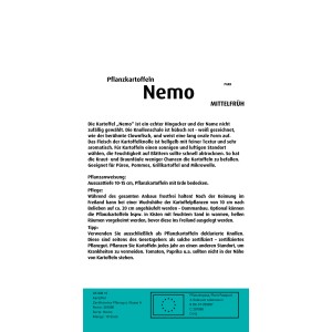 Quedlinburger Pflanzkartoffeln Nemo, 10 Stück. Gelb-rote Kartoffeln für den Anbau im Garten.