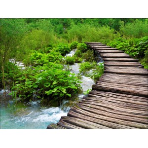 Leinwandbild: Holzsteg über Bachlauf in grüner Natur, 84x116cm. Dekoratives Wandbild für Wohnräume.