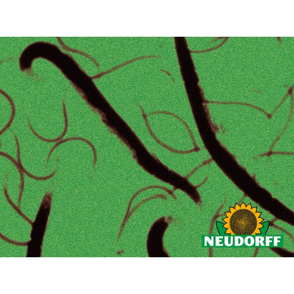 Nematoden kaufen bei OBI