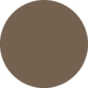 Farbfeld der Alpina Wandfarbe Pure Farben Nussbraun. Matte, braune Innenfarbe.