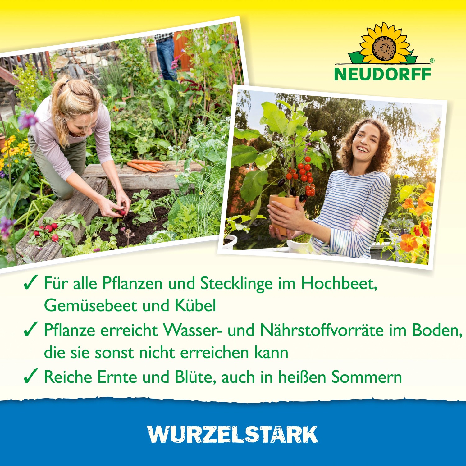 Neudorff MyccoVital Wurzelfit: Frau erntet Gemüse, Frau hält Tomatenpflanze. Bodenverbesserer für gesundes Pflanzenwachstum.