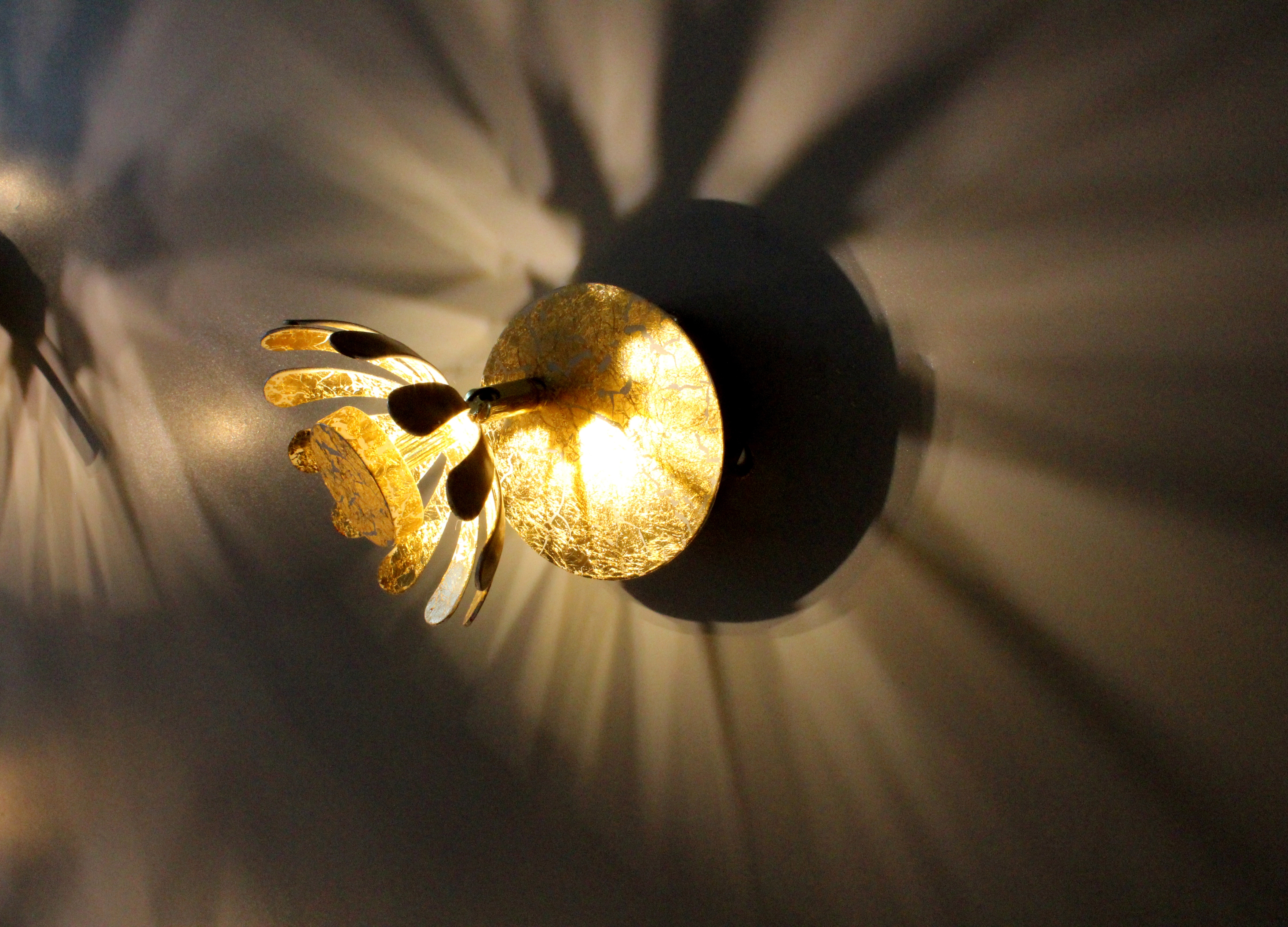 Luce Design LED-Wandleuchte Bloom-Spots 9021 M 1-flammig Gold Ø 10 cm  kaufen bei OBI