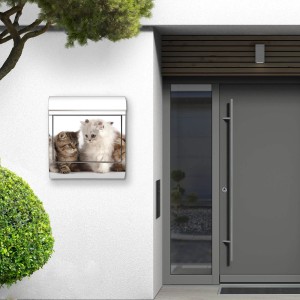 Edelstahl Briefkasten mit Katzen Motiv und Zeitungsfach, montiert an einer weißen Hauswand.