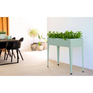 Herstera Garden Hochbeet Urban, kaktusgrün, mit Bepflanzung. Ideal für Garten, Balkon und Terrasse.