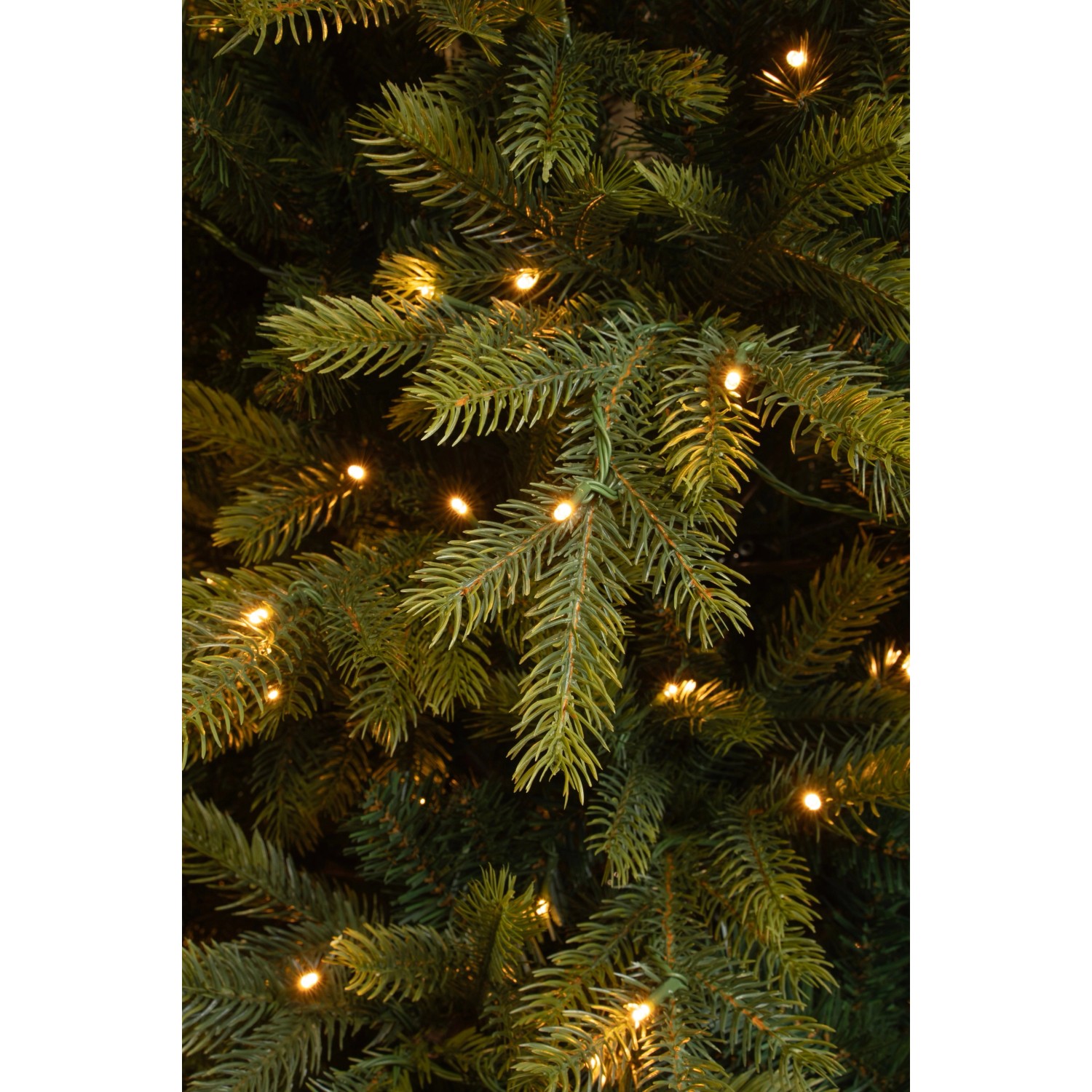 Detailaufnahme: Grüner LED-Weihnachtsbaum Grimshaw (185 cm) mit warmweißen Lichtern.