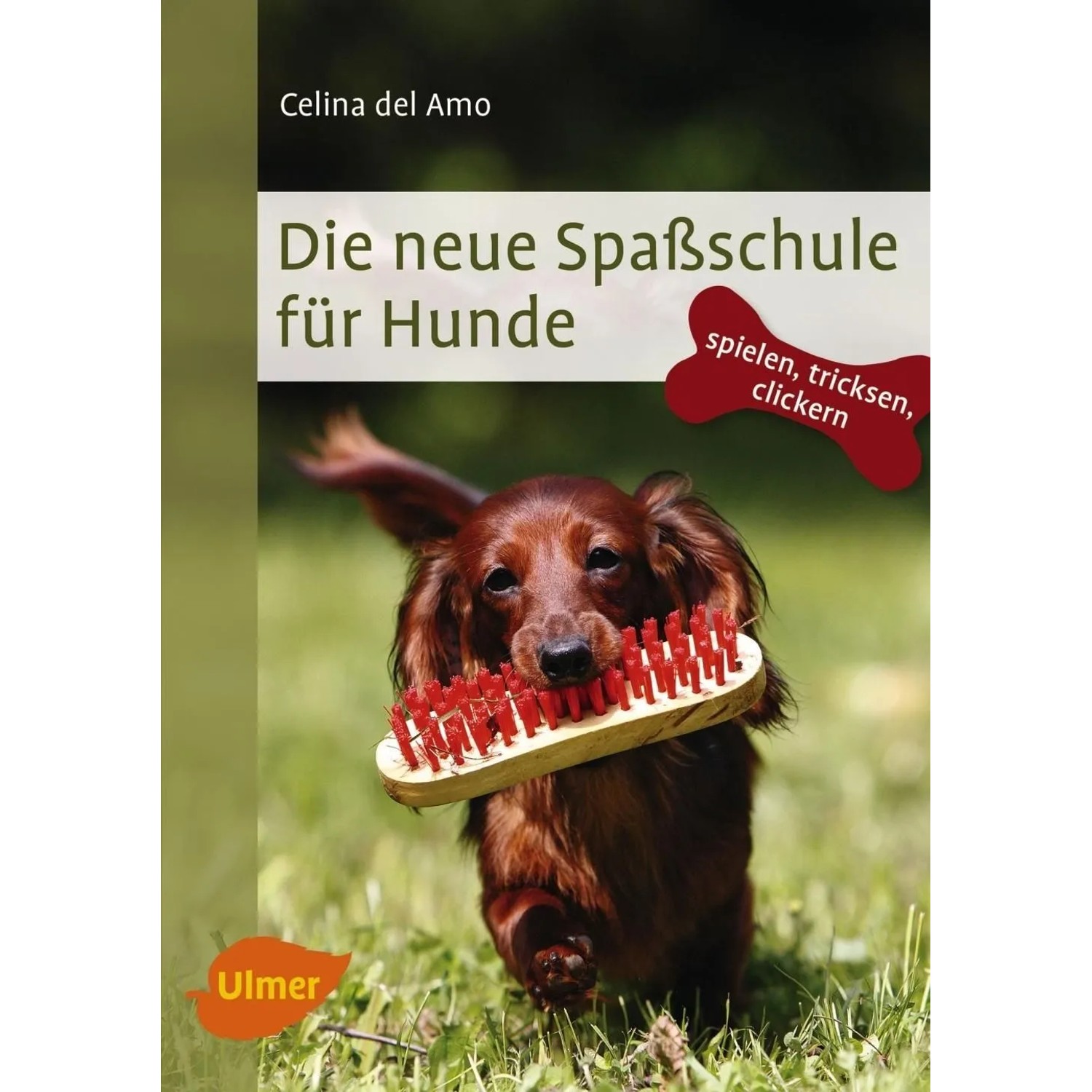 Die neue Spaßschule für Hunde