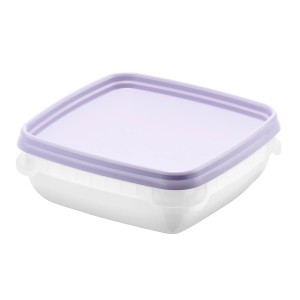 SmartStore Gefrierdose Frost 0,3 l, Lavendel, Vorratsdose mit Deckel.