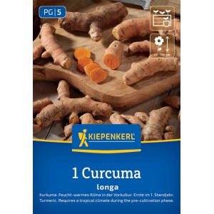Kiepenkerl Kurkuma Curcuma longa