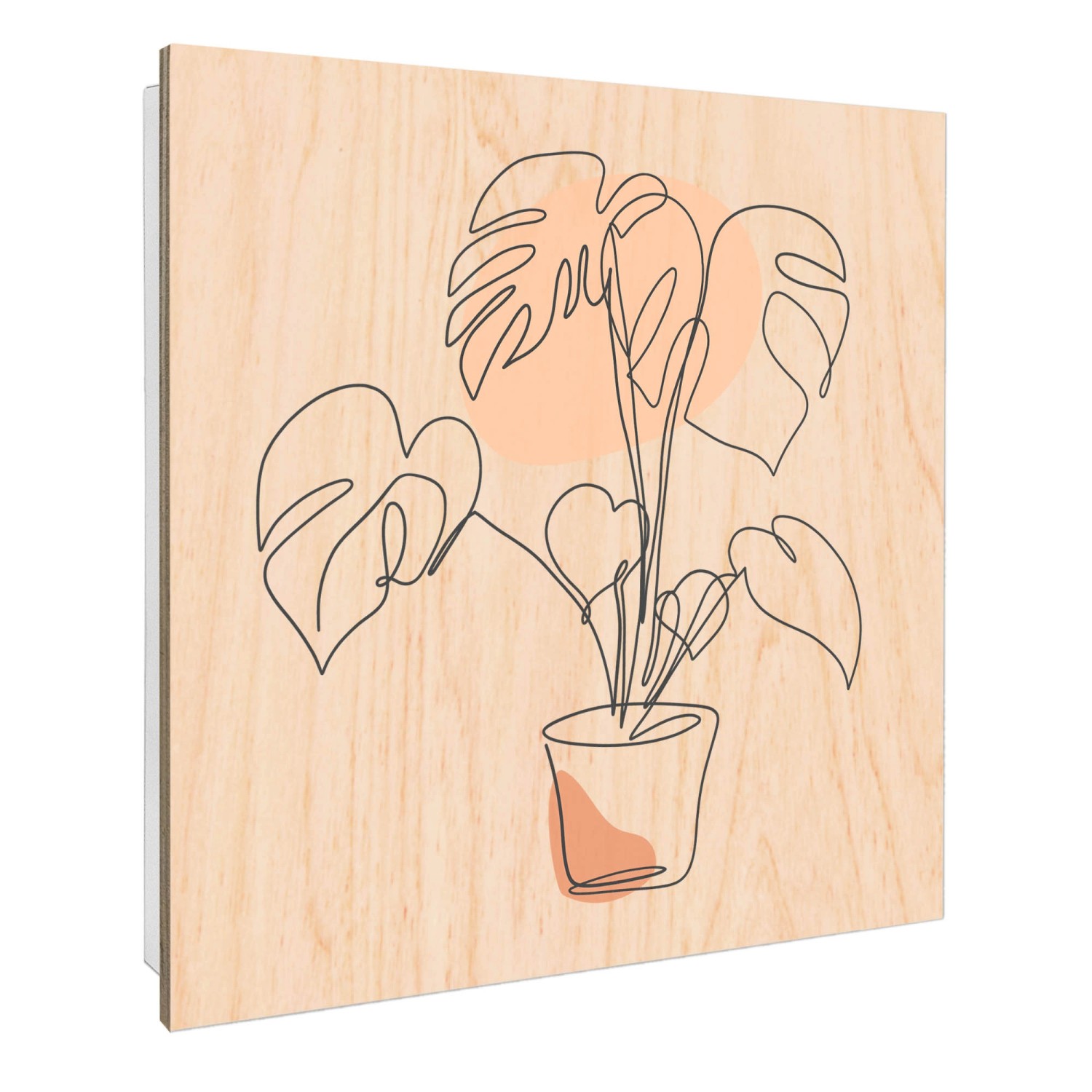 Banjado Großer Schlüsselbox Holz 30x30cm Weiß Scharnier Rechts 50 Haken Sch günstig online kaufen