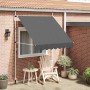 vidaXL Einziehbare Markise Handbetrieben 200 cm Anthrazit 143688_2