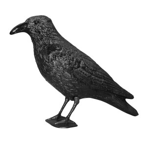 Swissinno Taubenabwehr-Rabe