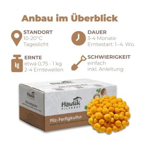 Hawlik Pilzbrut Bio Toskanapilz Pilzzuchtset für Zuhause mit Myzel-Substrat Inkl. Anbau-Anleitung