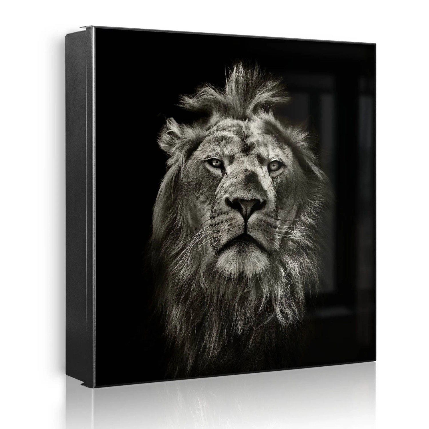 Banjado Großer Schlüsselkasten Metall 30x30cm Schwarz Scharnier Links 50 Haken Beschreibbar Magnetisch Motiv Löwe Porträt