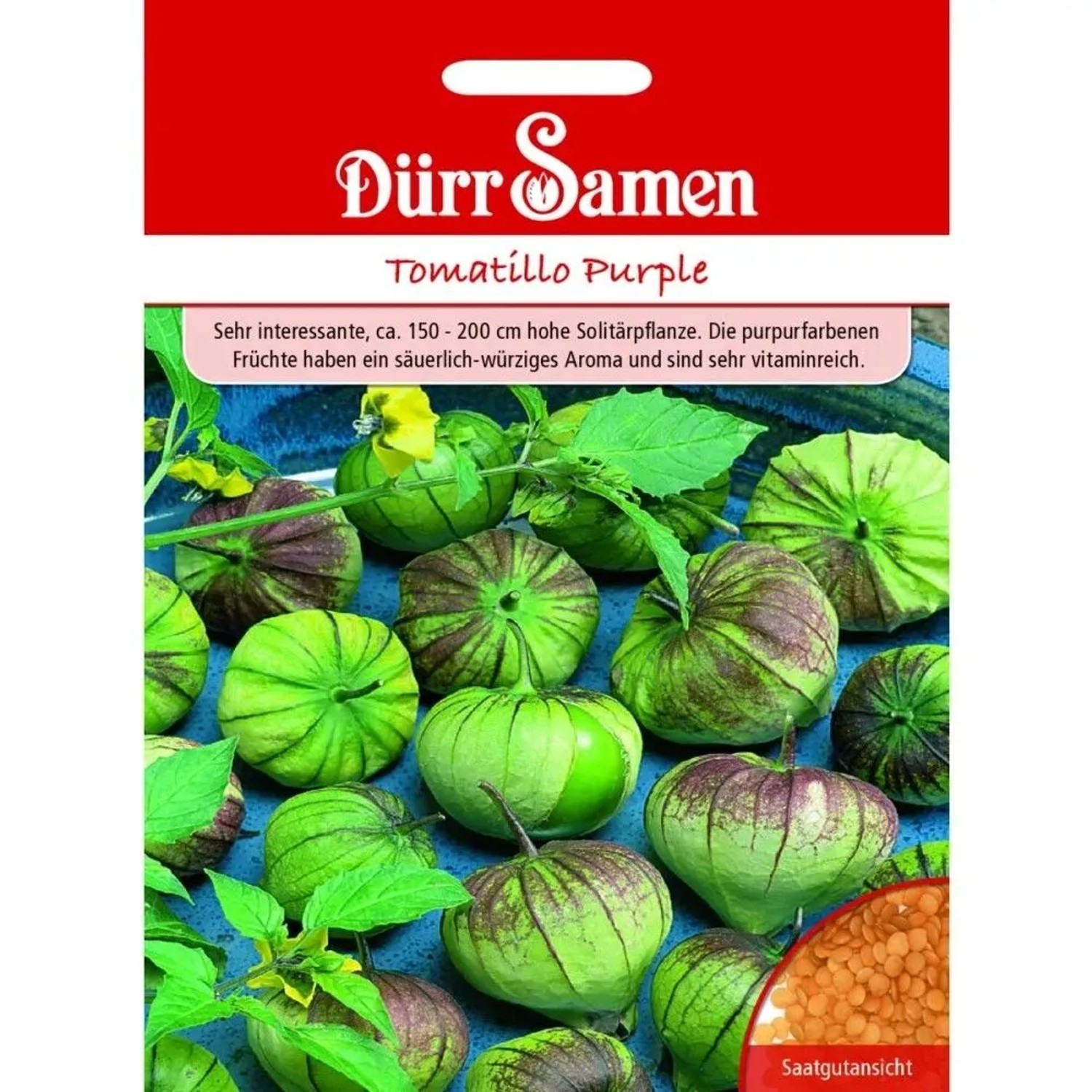 Dürr Samen Tomatillo Purple Saatgut