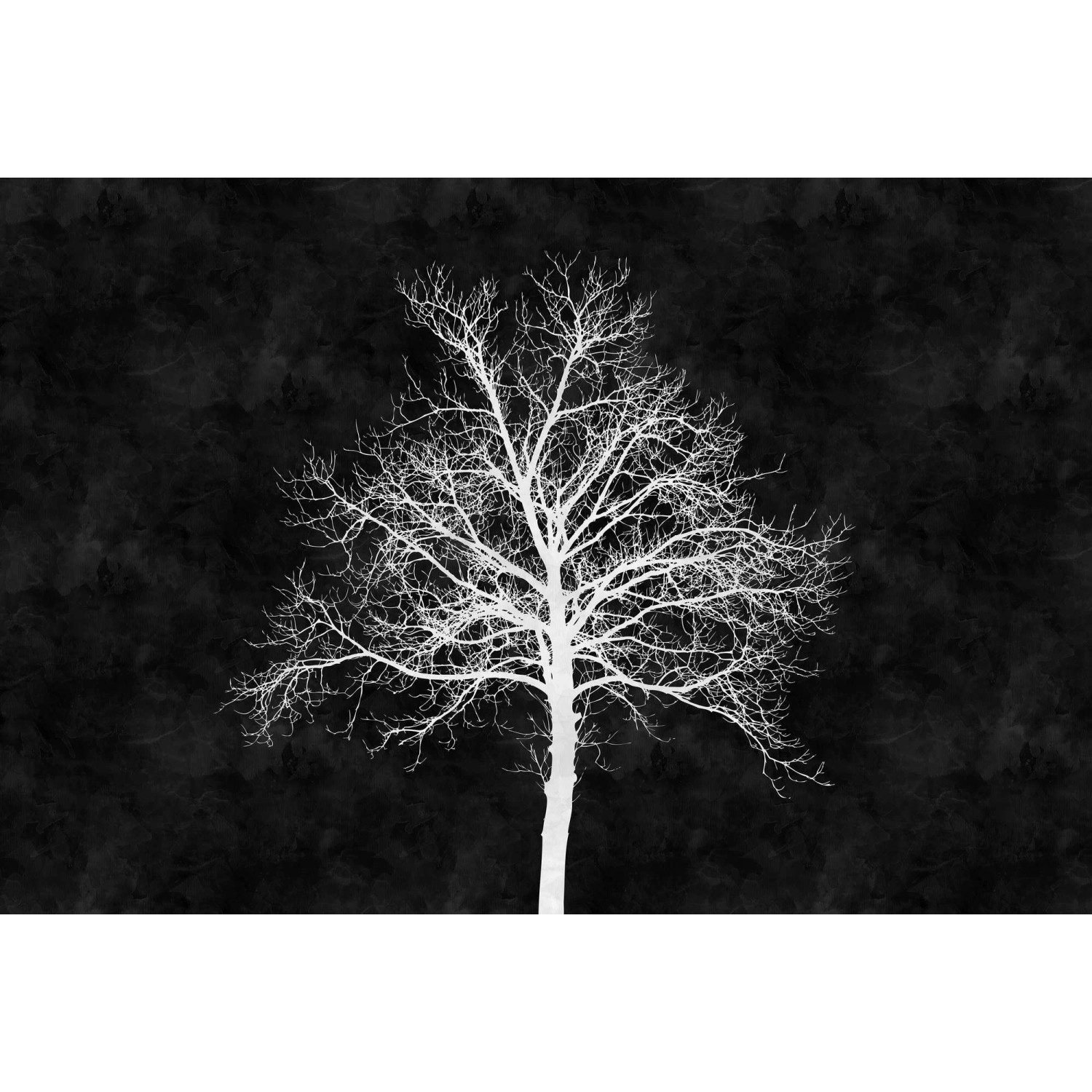 Fototapete Baum Wald Blackboard Schwarz Weiß 4,00 m x 2,70 m FSC® günstig online kaufen