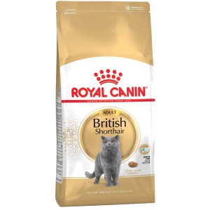 Royal Canin British Shorthair Katzenfutter Trocken, 4kg Packung für Britisch Kurzhaar Katzen.