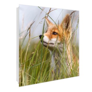 Weißer Schlüsselkasten mit Glasfront, Fuchs-Motiv, 50 Haken, magnetisch & beschreibbar.