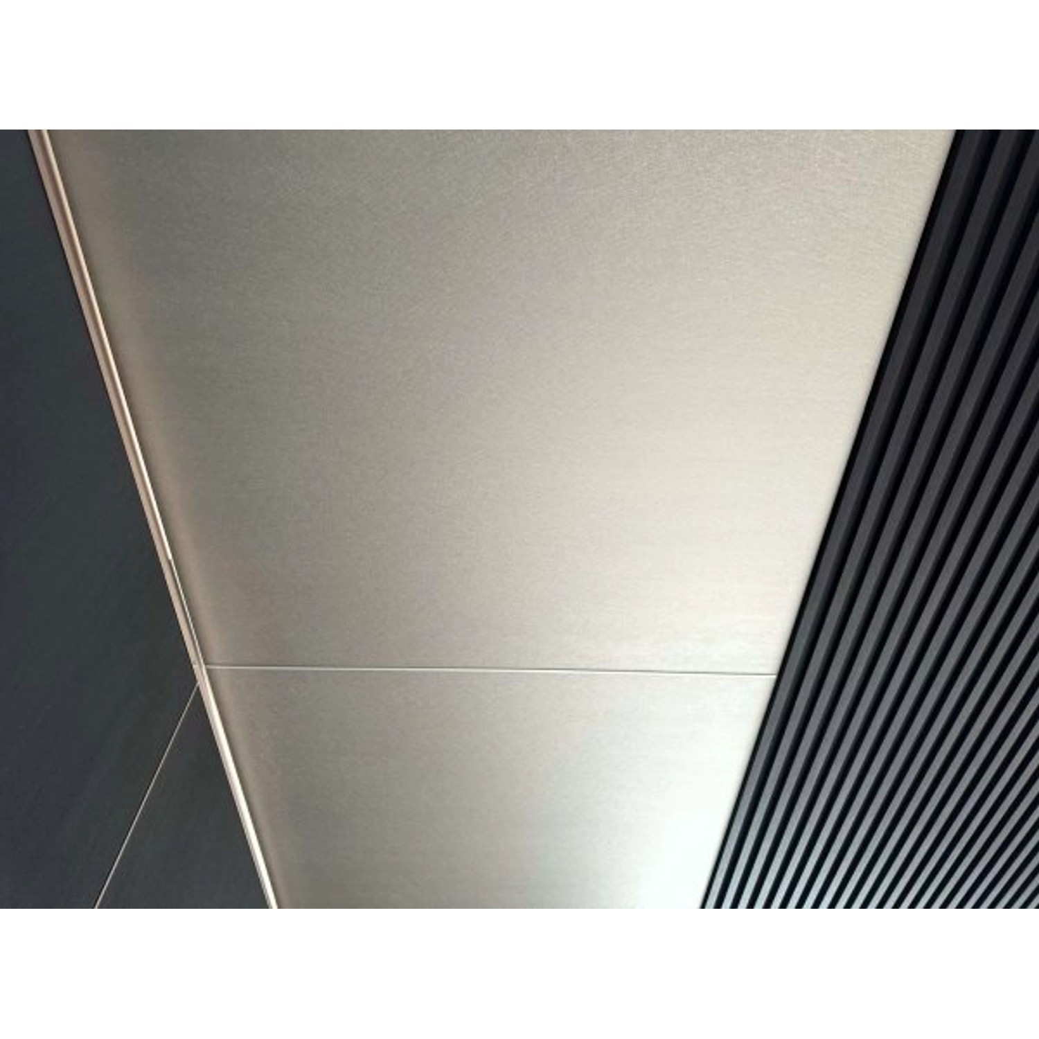 Colortree Wand- und Deckenpaneele, silber gesprenkelt, wasserdicht, ca. 260x122cm.