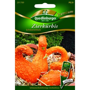 Quedlinburger Zierkürbis Schwanenhals Samen, orange-gelbe Kürbisse in Schwanenform.
