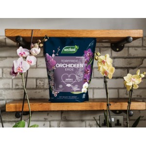 Westland Orchideenerde torffrei 4 l Sack mit Orchideen auf Holzregal.