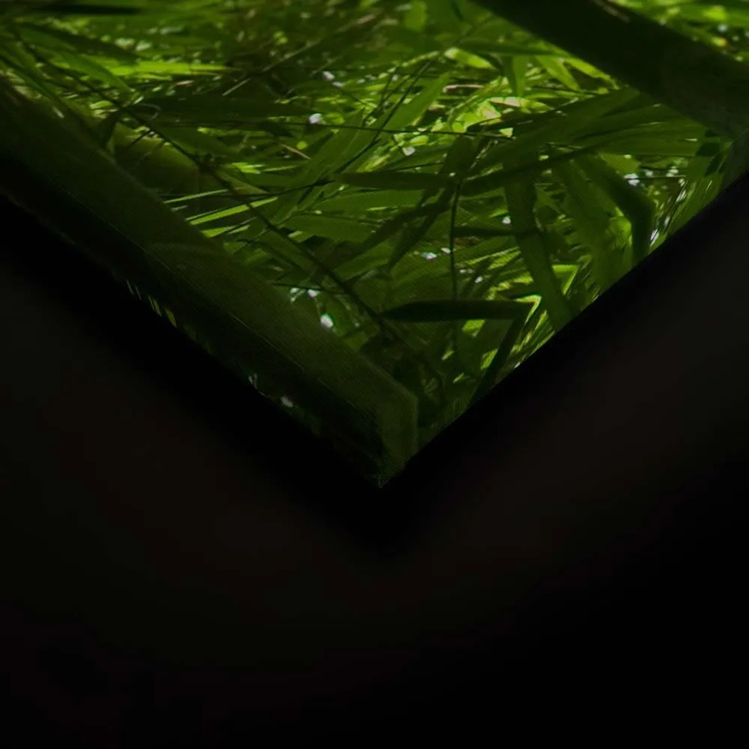 Bricoflor Wandbild Bambuswald, grüne Leinwand für Wohn- und Badezimmer, 90x60 cm.