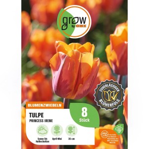 Orangefarbene Tulpe 'Prinses Irene' (8 Stück) von GROW by OBI. Blumenzwiebeln für Beet und Garten.