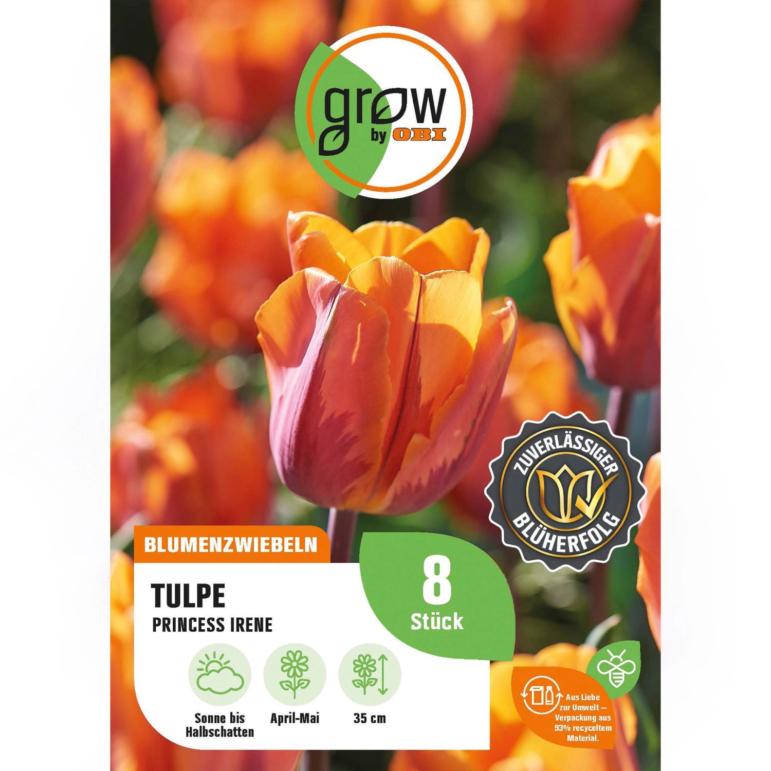 GROW by OBI Tulpe Prinses Irene Orange 8 Stück Tulipa triumph Prinses Irene günstig online kaufen