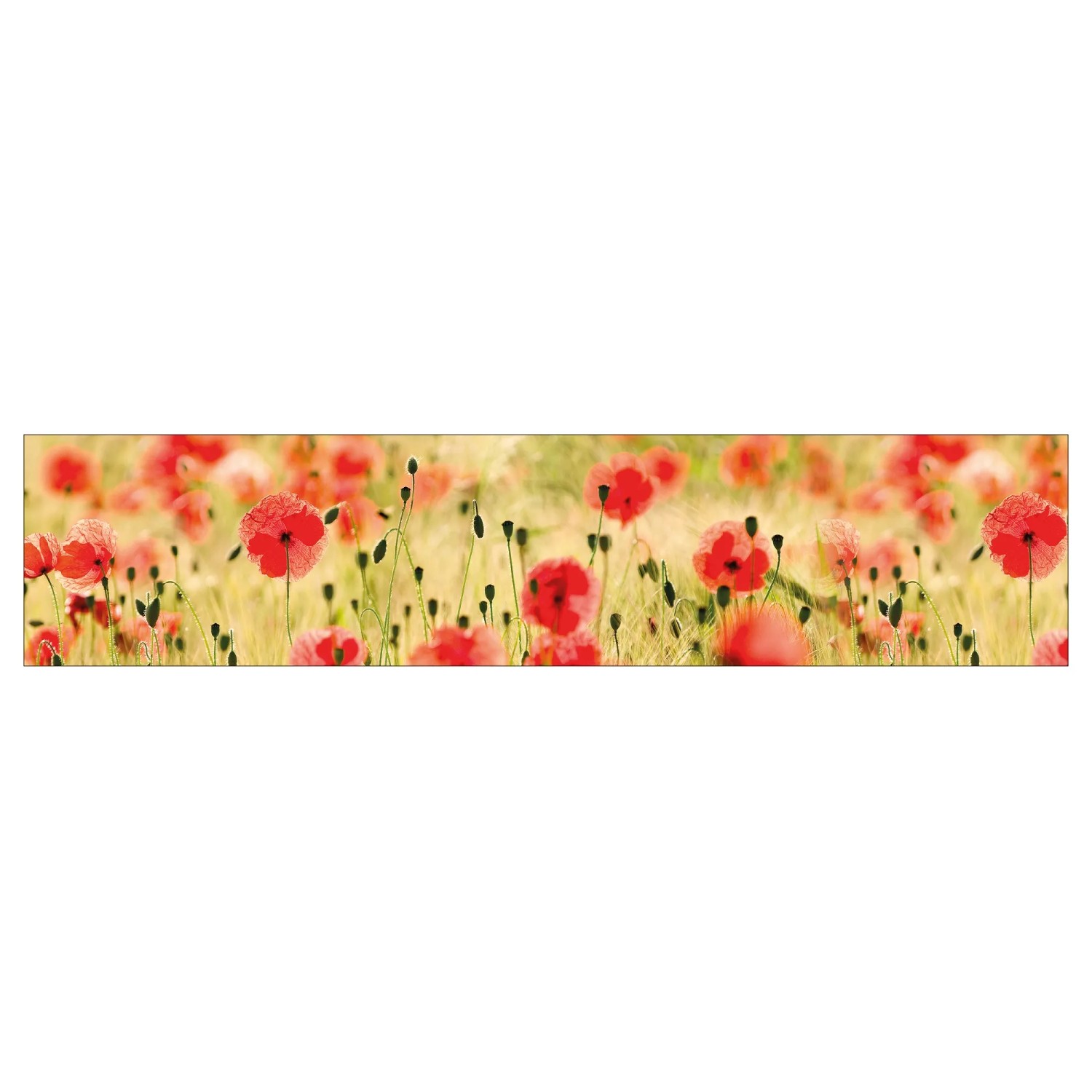 MySpotti Küchenrückwand Profix Cucina Mohnet 270 x 60 cm Mohnblüte