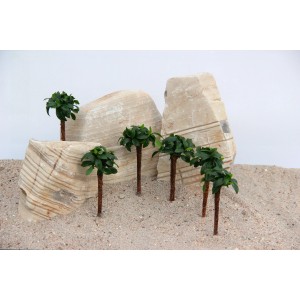 Dennerle Bonsai Palme mit Anubias für Aquarien, kleine grüne Blätter, Deko für Unterwasserwelten.