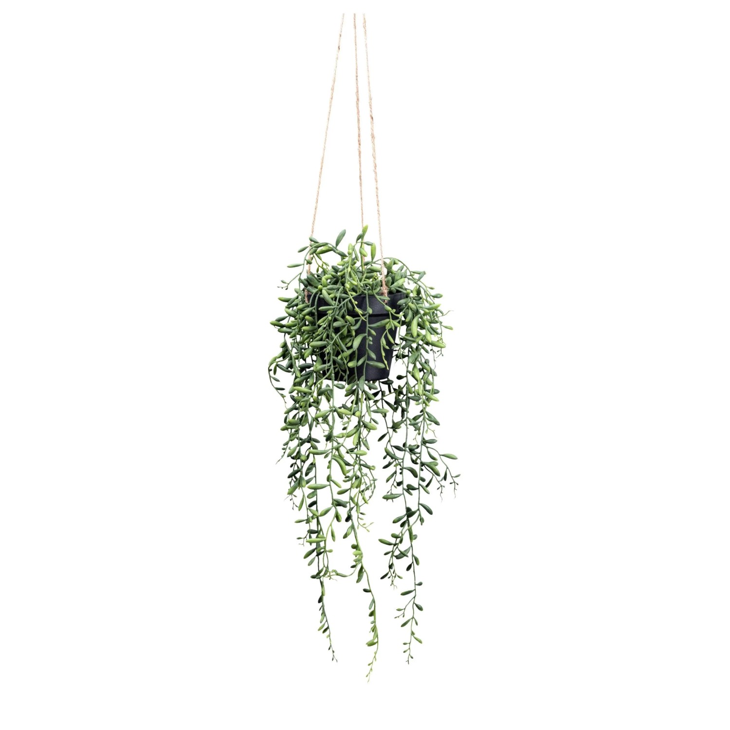 Modern Living Kunstpflanze Senecio Herreianus II in Grün