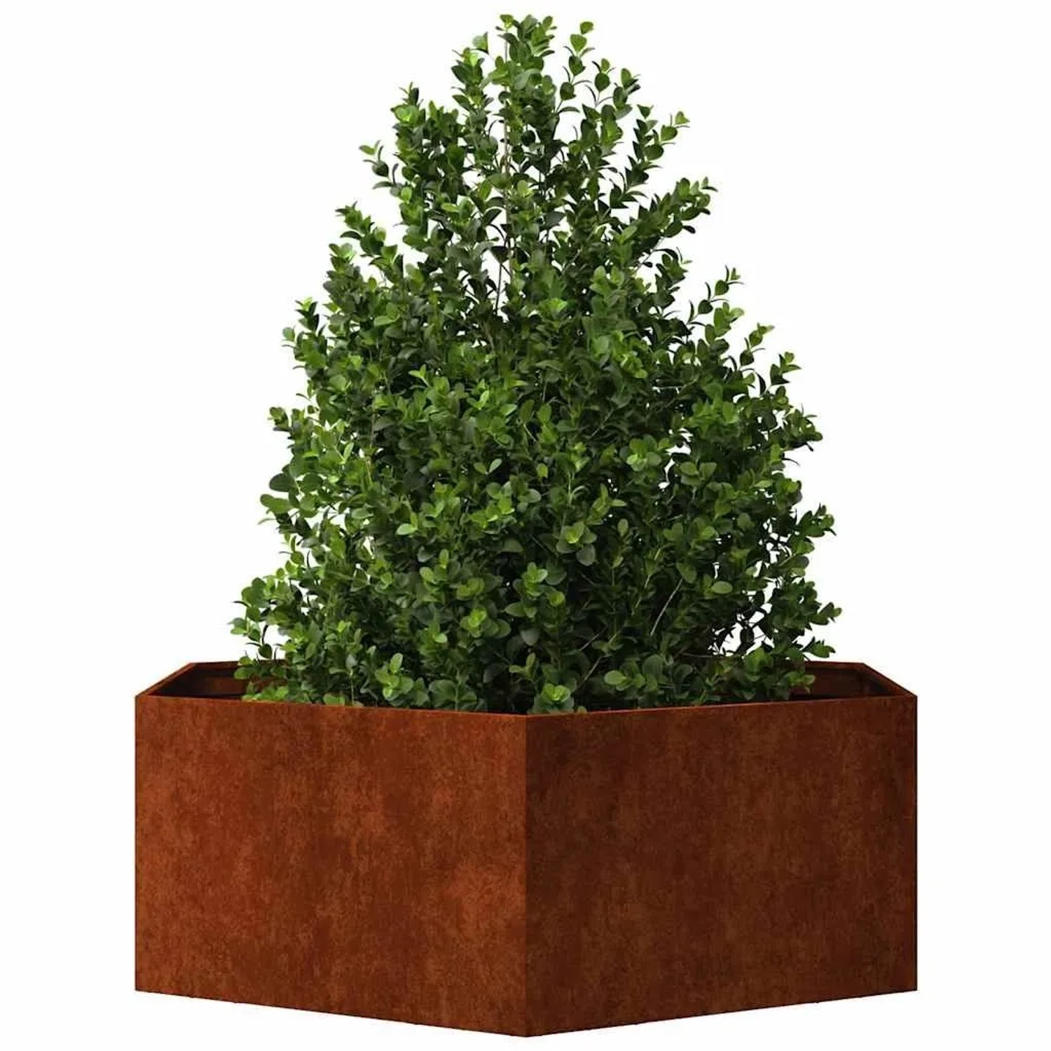 Rostiger Cortenstahl Pflanzkübel, rechteckig, mit grüner Pflanze. Ideal für Garten und Terrasse.