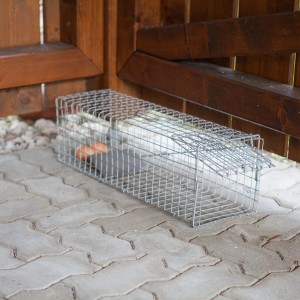 Windhager Marderfalle, 60 cm, verzinkt. Lebendfalle für Marder und andere Wildtiere.