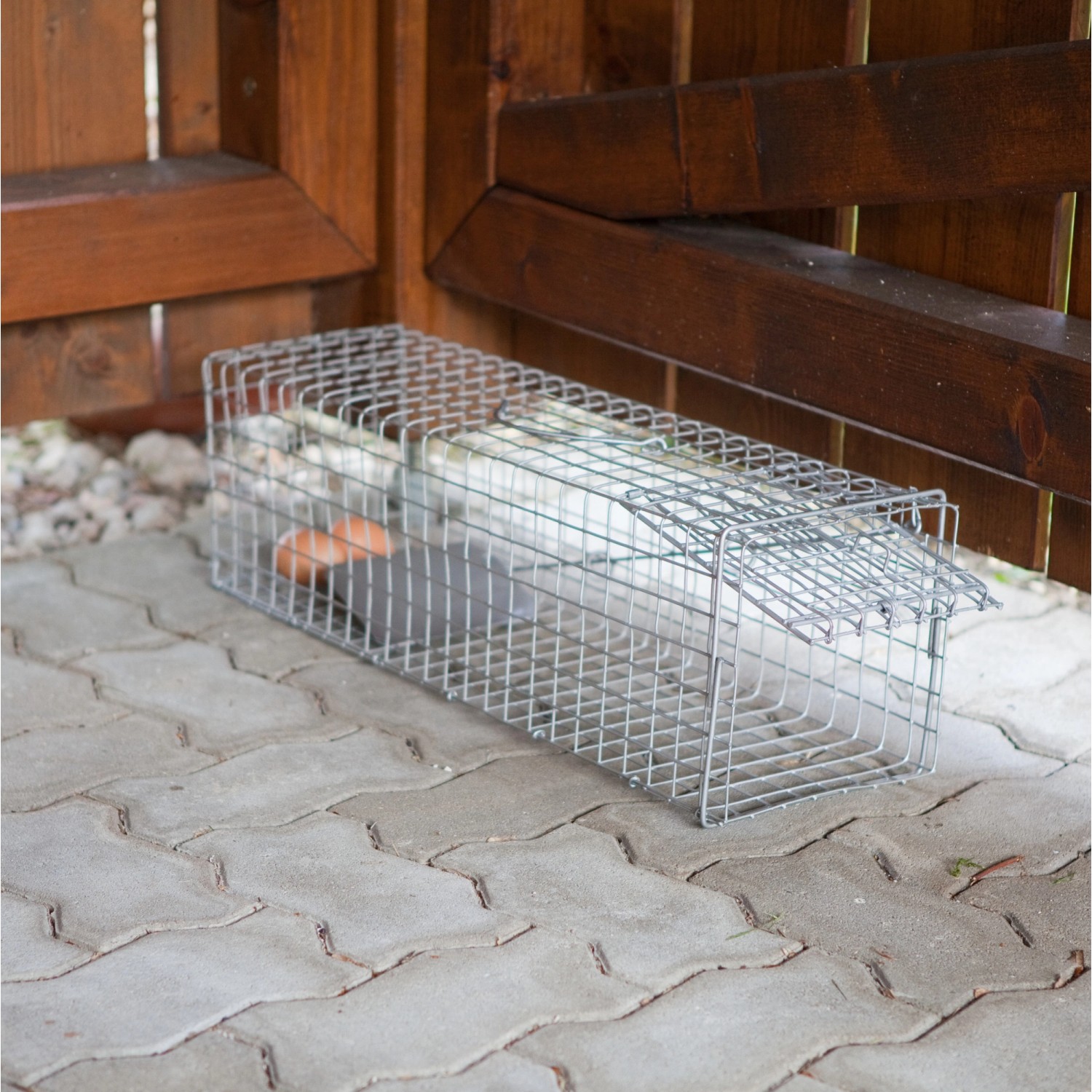 Windhager Marderfalle, 60 cm, verzinkt. Lebendfalle für Marder und andere Wildtiere.